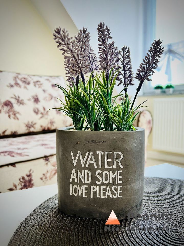 Mieszkanie 1-pokojowe Kamień Pomorski. Zdjęcie 12