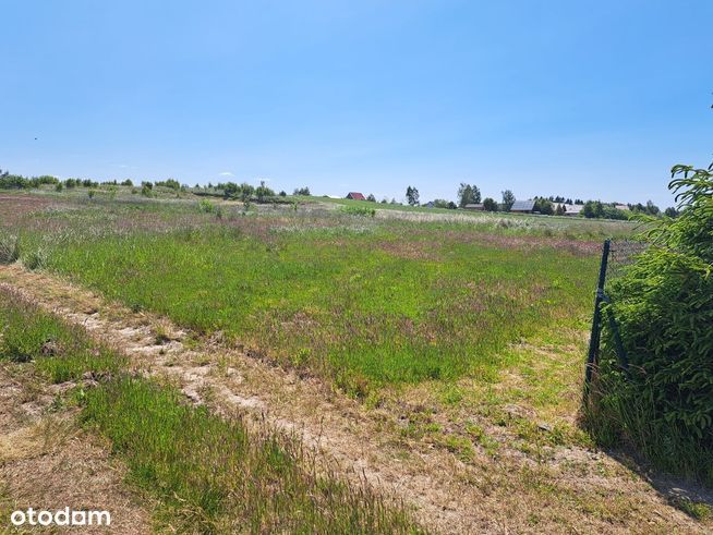 Działka budowlana Chłopy, ul. Rekinowa. Zdjęcie 5