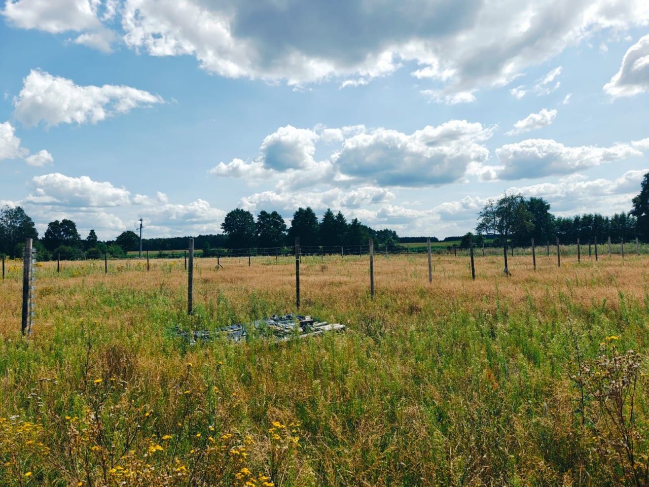 Działka rolna Nekla, ul. Kotomierska. Zdjęcie 4