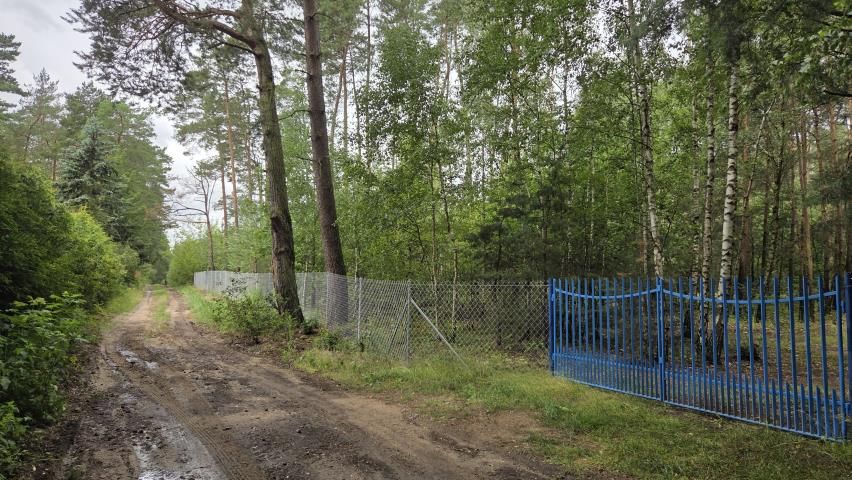 Działka rekreacyjna Królewo. Zdjęcie 7