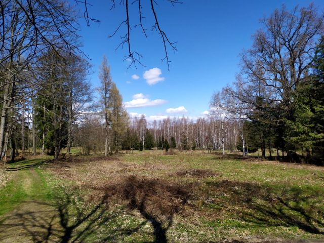 Działka budowlana Antoniów. Zdjęcie 1