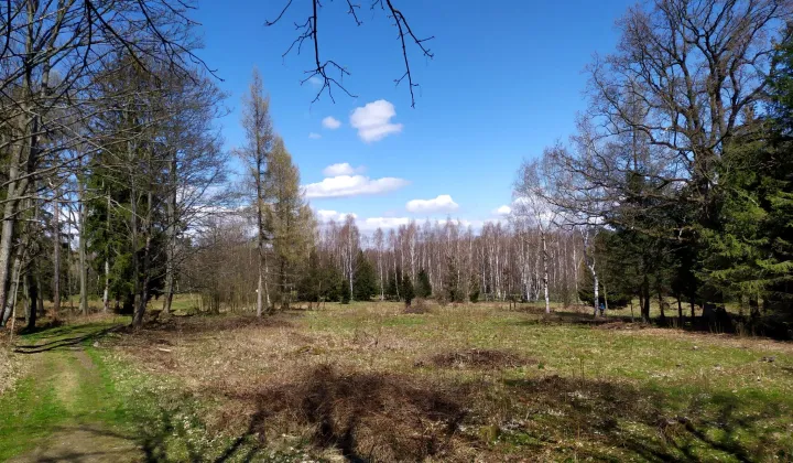 Działka budowlana Antoniów