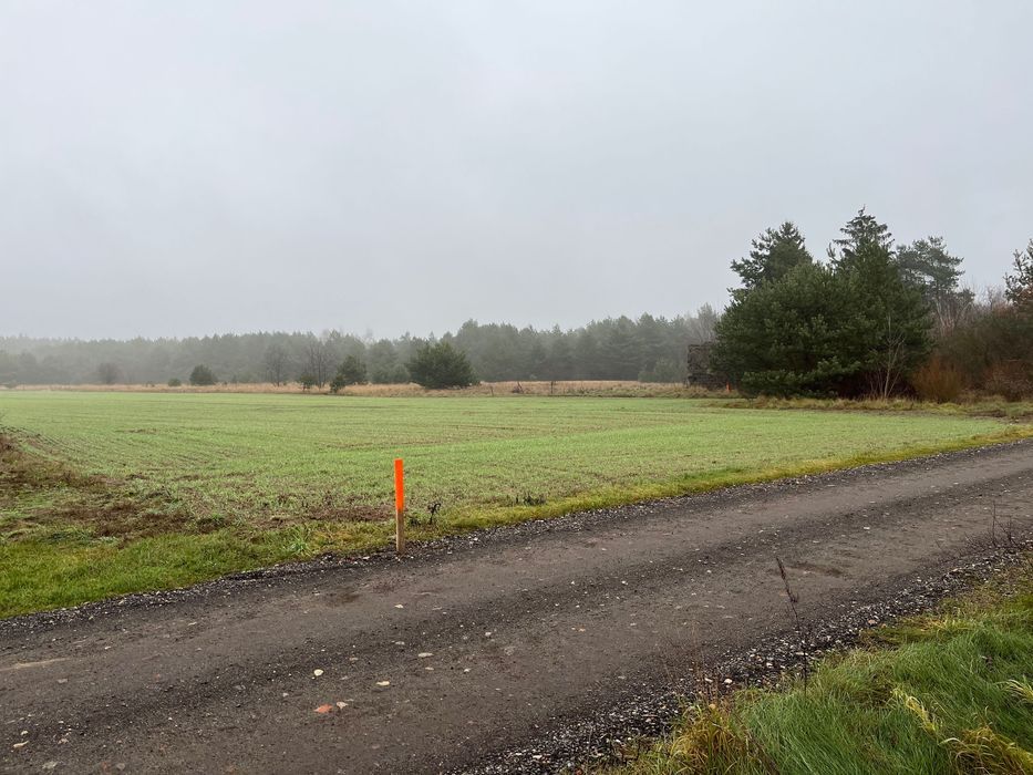 Działka budowlana Gierłatowo. Zdjęcie 4