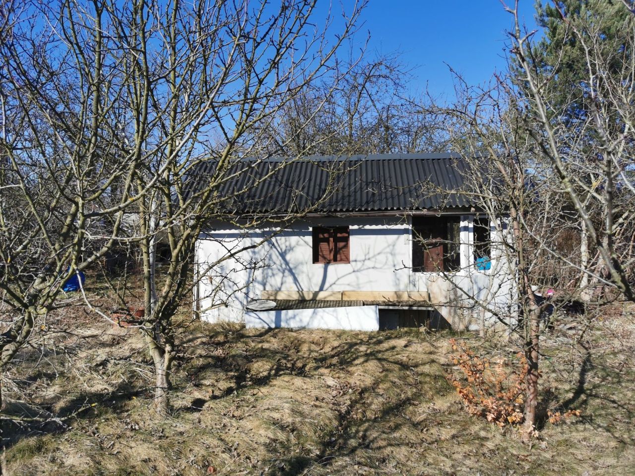 Działka rod Brzeg. Zdjęcie 5