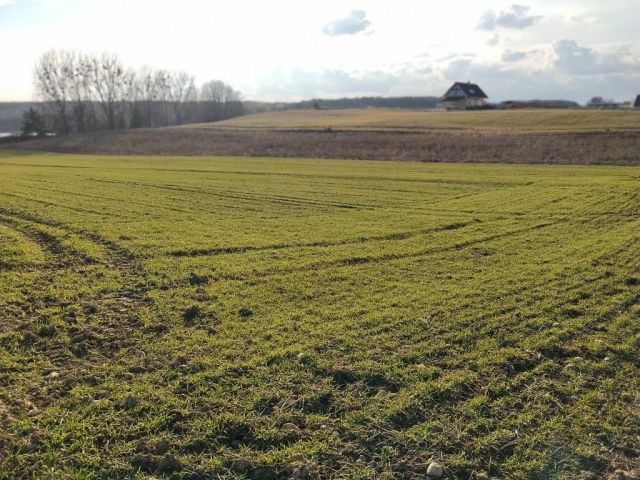 Działka budowlana Nowa Wioska. Zdjęcie 1