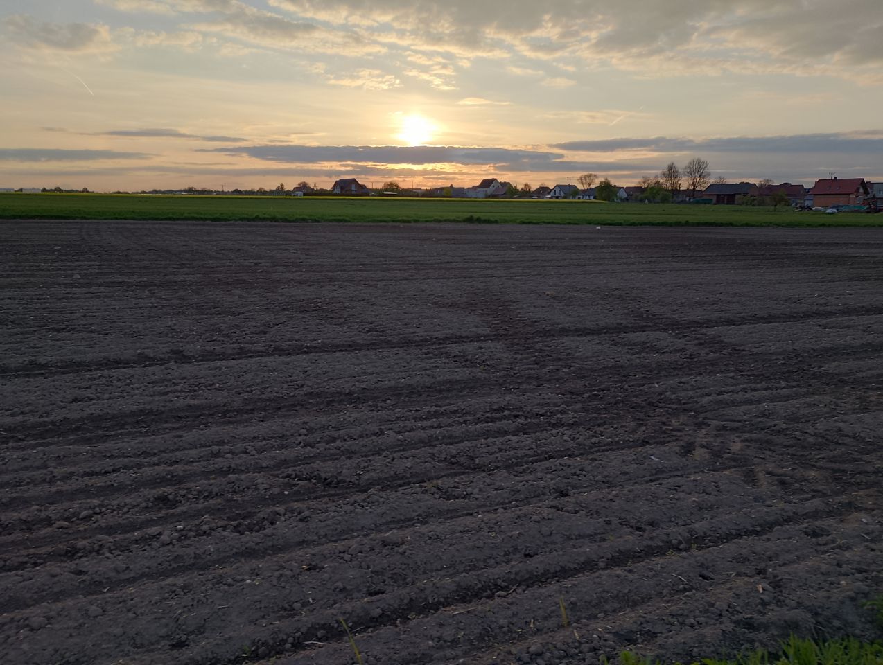 Działka rolna Gliwice Ostropa, ul. Ignacego Daszyńskiego. Zdjęcie 4