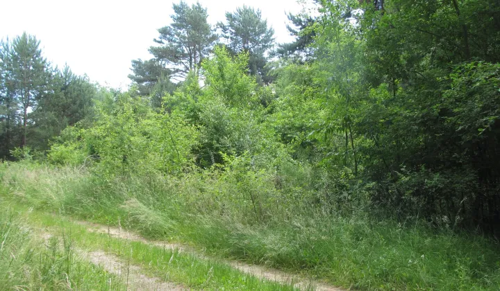 Działka budowlana Jęczydół, os. Na Polanie