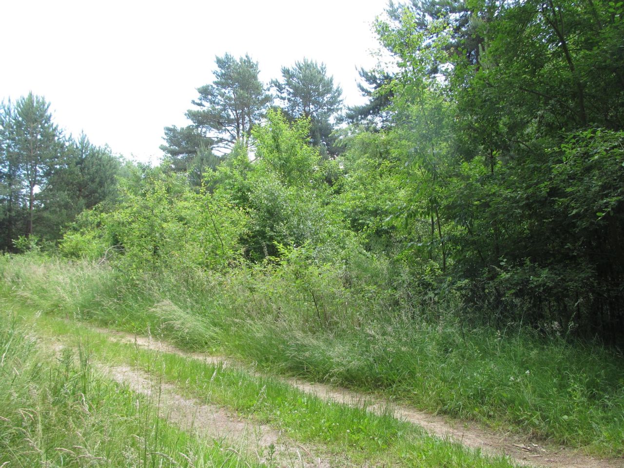 Działka budowlana Jęczydół, osiedle na polanie