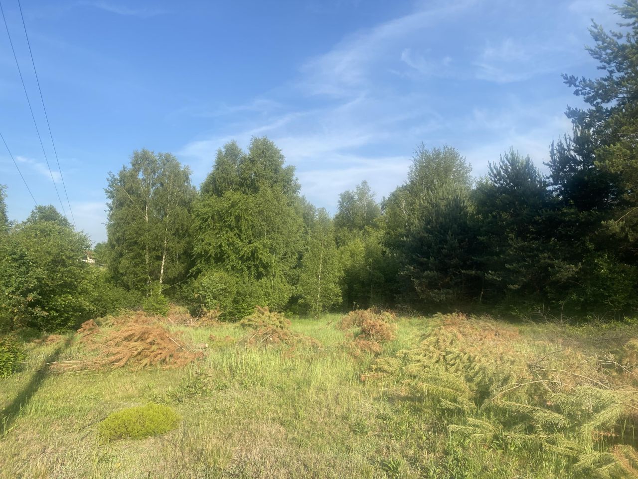 Działka rolno-budowlana Ciekoty, Ciekoty. Zdjęcie 3