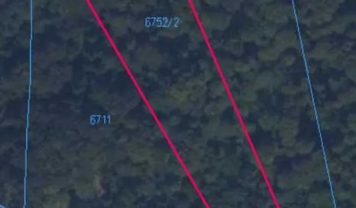 Działka leśna Jodłowa