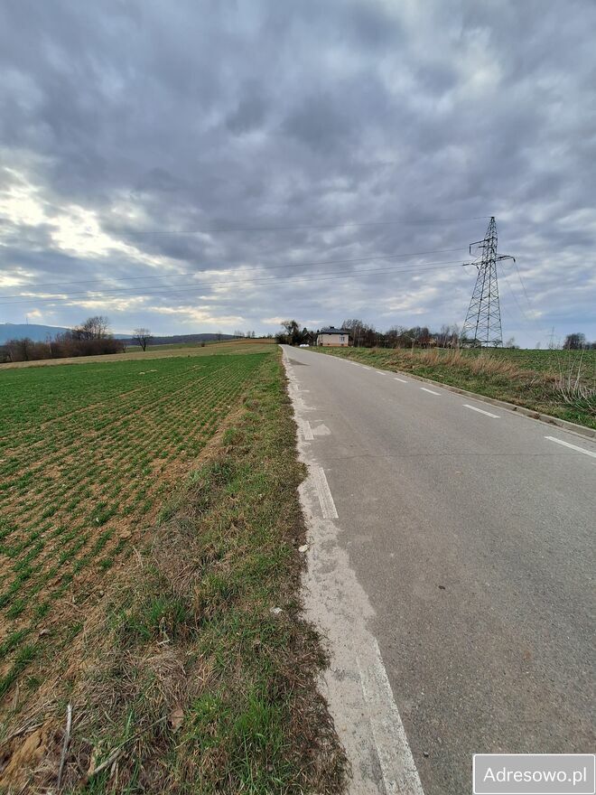 Działka rolna Grzegorzowice. Zdjęcie 3