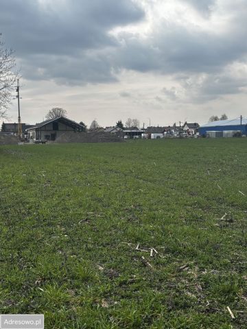 Działka rolna Ciechanów, ul. Henryka Sławika. Zdjęcie 1