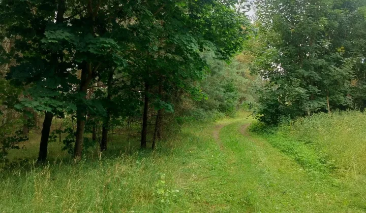Działka budowlana Kranek