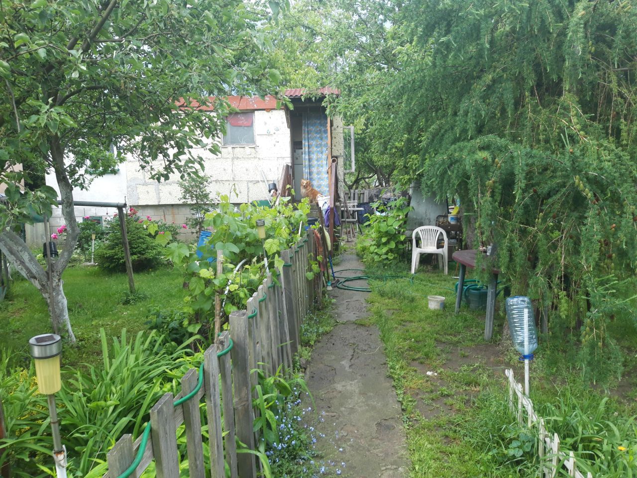 Działka rekreacyjna Toruń Rudak, ul. Lawendowa