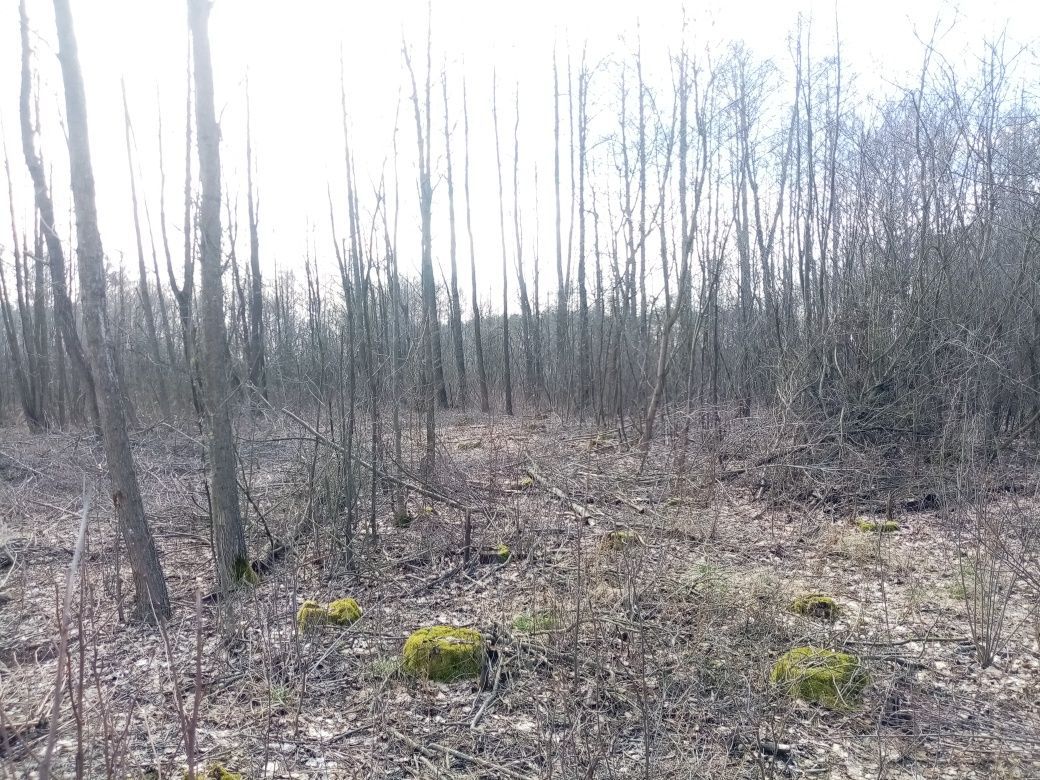 Działka inna Moczadła. Zdjęcie 5