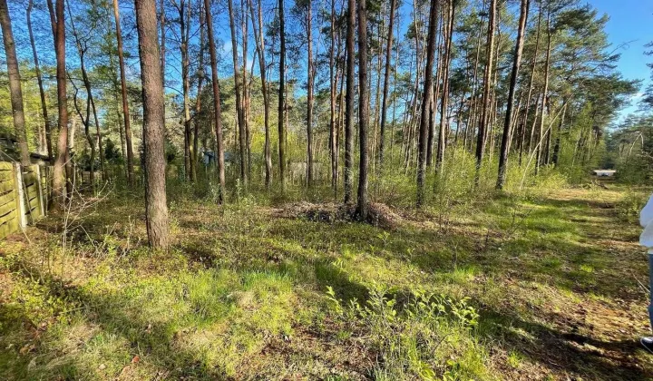 Działka leśna Włodzimierzów, ul. Podwłodzimierzów