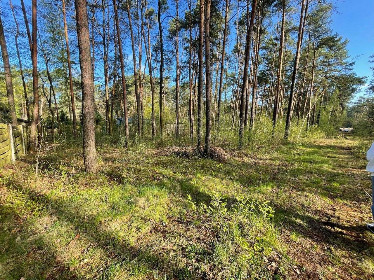 Działka Włodzimierzów