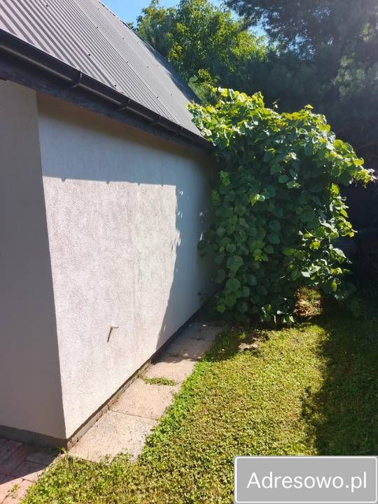 Działka rod Legnica. Zdjęcie 2