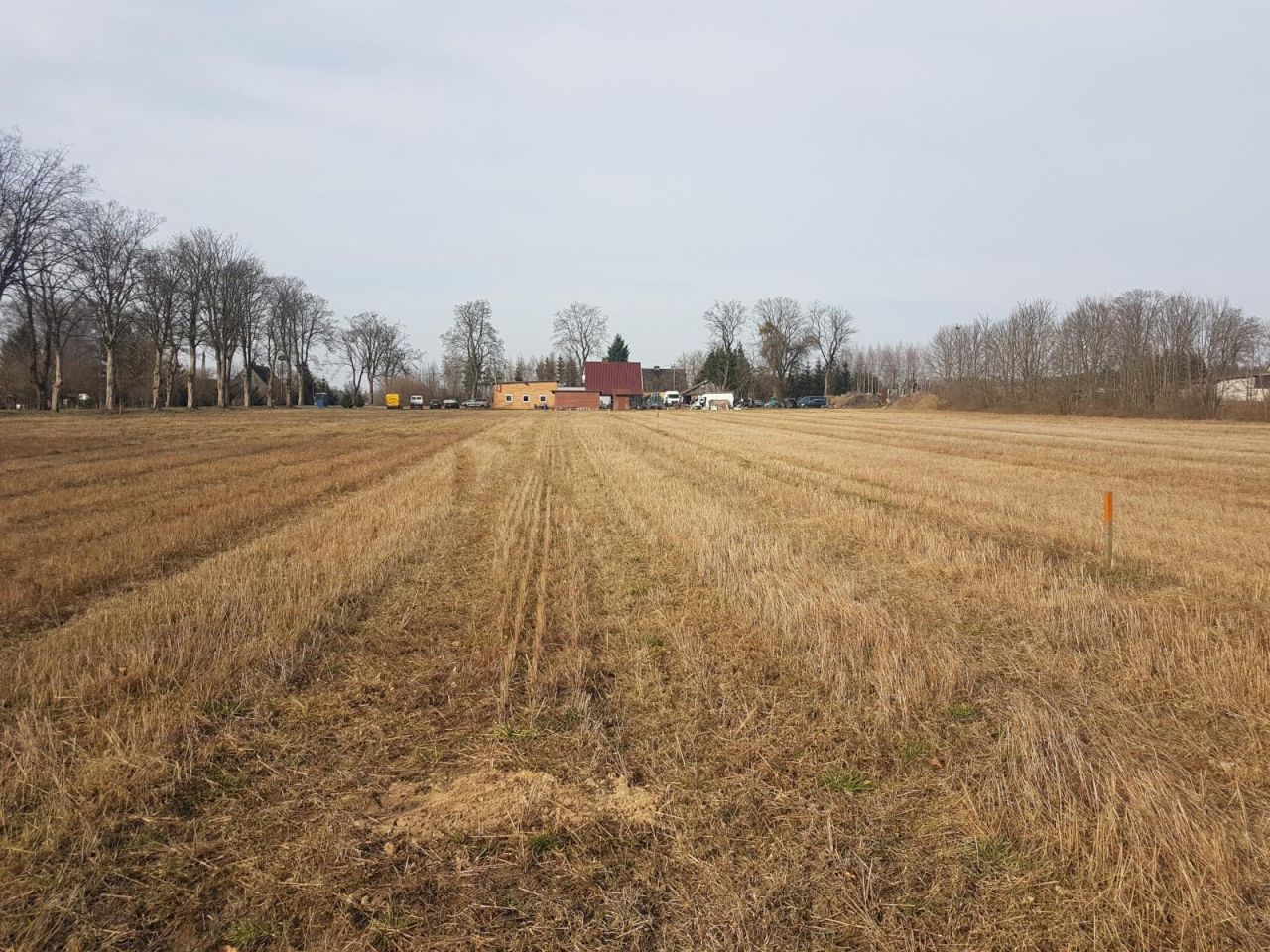 Działka budowlana Buczek. Zdjęcie 5