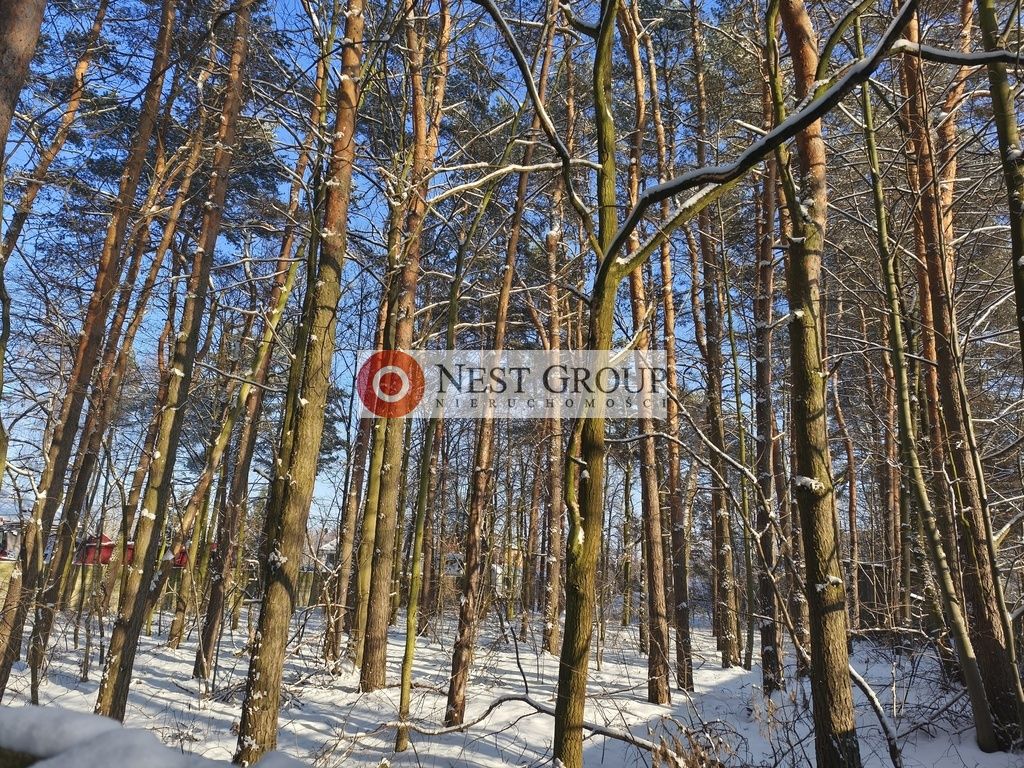 Działka budowlana Nowy Janków, ul. Wołomińska. Zdjęcie 16