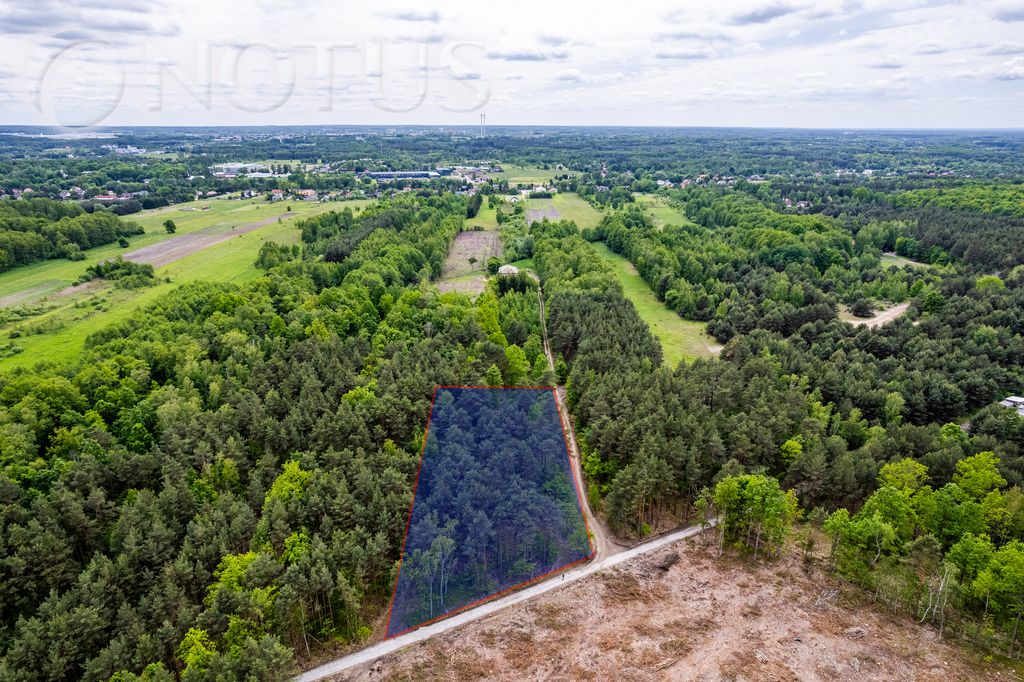 Działka budowlana Radziejowice, ul. Do Lasu. Zdjęcie 5
