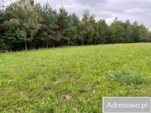 Działka rekreacyjna Bierówka. Zdjęcie 4