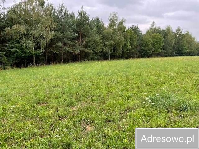 Działka rekreacyjna Bierówka. Zdjęcie 5