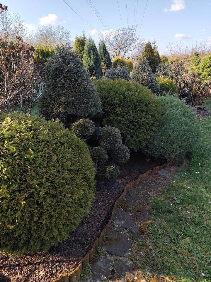 Działka rod Łaziska Górne Łaziska Średnie, ul. Wyrska. Zdjęcie 3