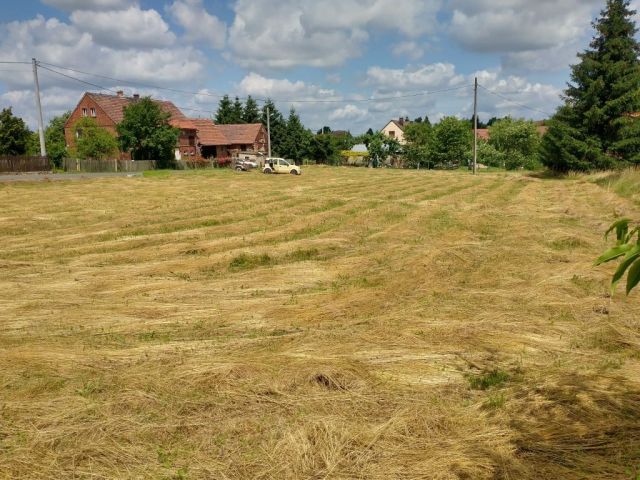 Działka budowlana Henryków Lubański. Zdjęcie 1