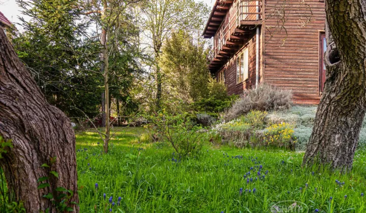 dom wolnostojący, 7 pokoi Wrocław Oporów, ul. Jana Ostroroga