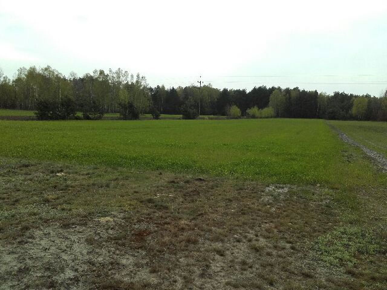 Działka rolno-budowlana Brzezie. Zdjęcie 3