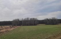 Działka rolno-budowlana Petrykozy, ul. Pogodna. Zdjęcie 4