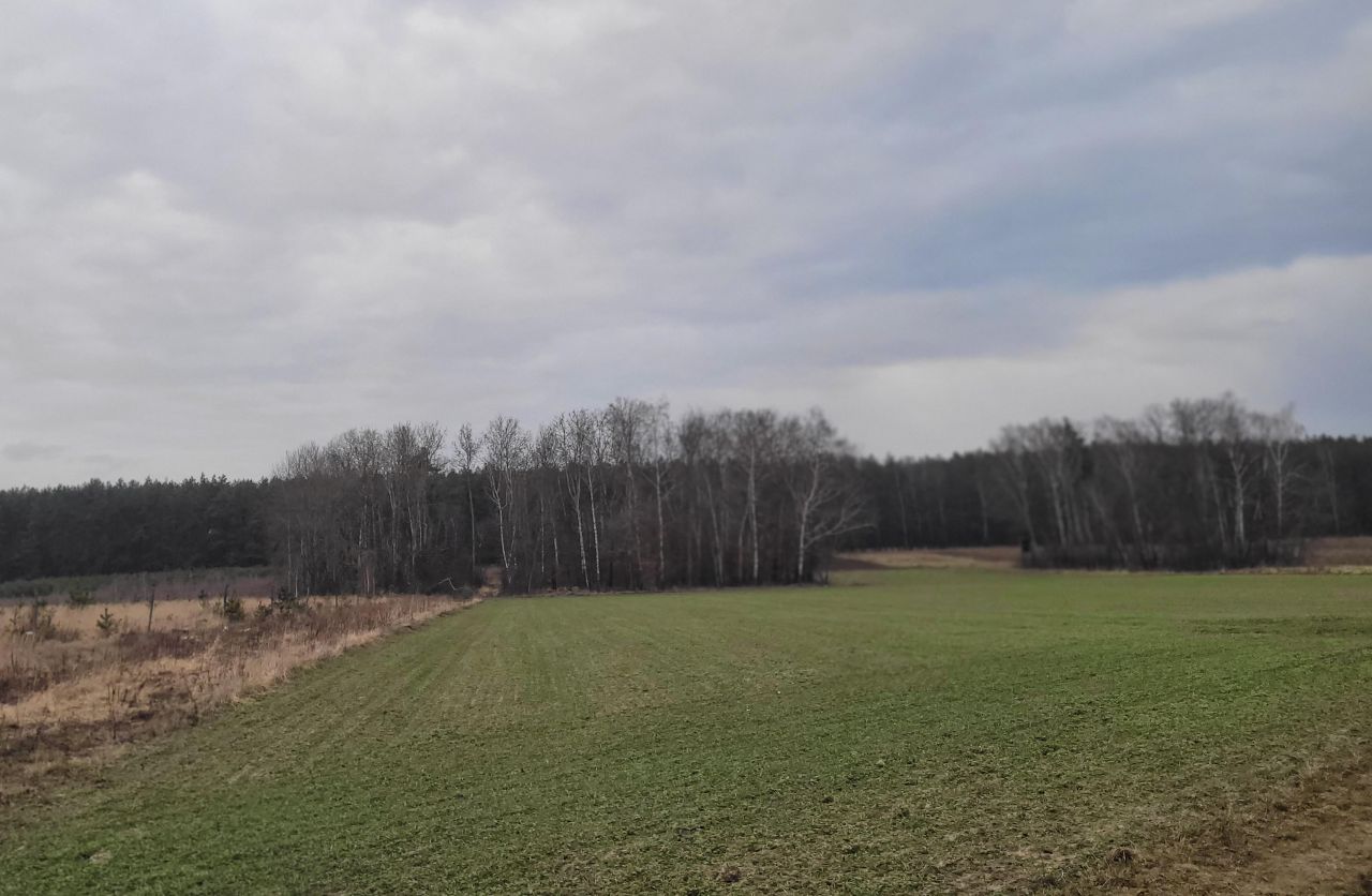 Działka rolno-budowlana Petrykozy, ul. Pogodna. Zdjęcie 5