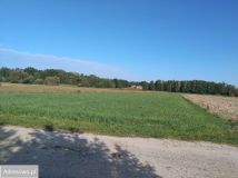 Działka rolno-budowlana Sobień. Zdjęcie 3
