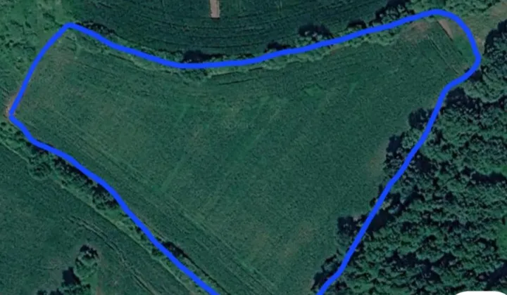 Działka rolna Grędzina, ul. Główna
