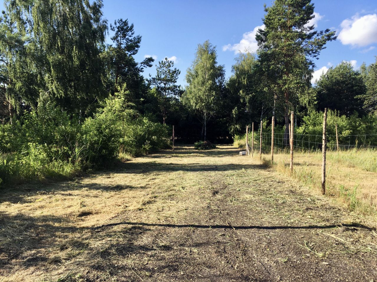 Działka budowlana Janów. Zdjęcie 4