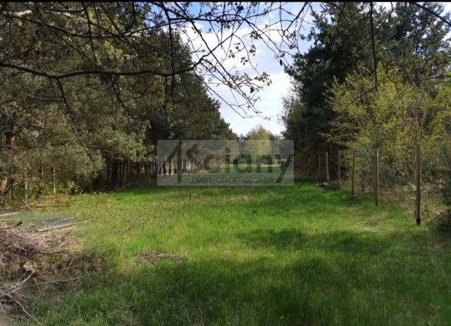 Działka budowlana Chotomów. Zdjęcie 8