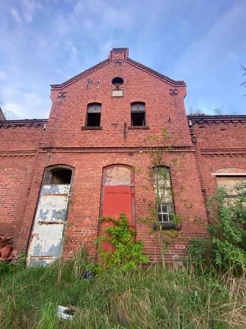 Działka inwestycyjna Wołczyn. Zdjęcie 4