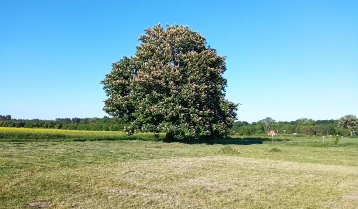 Działka budowlana Słuchowo, ul. Brzozowa
