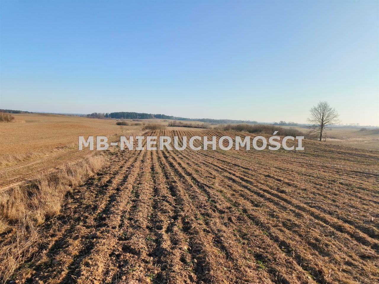 Działka rolna Grabnik. Zdjęcie 1