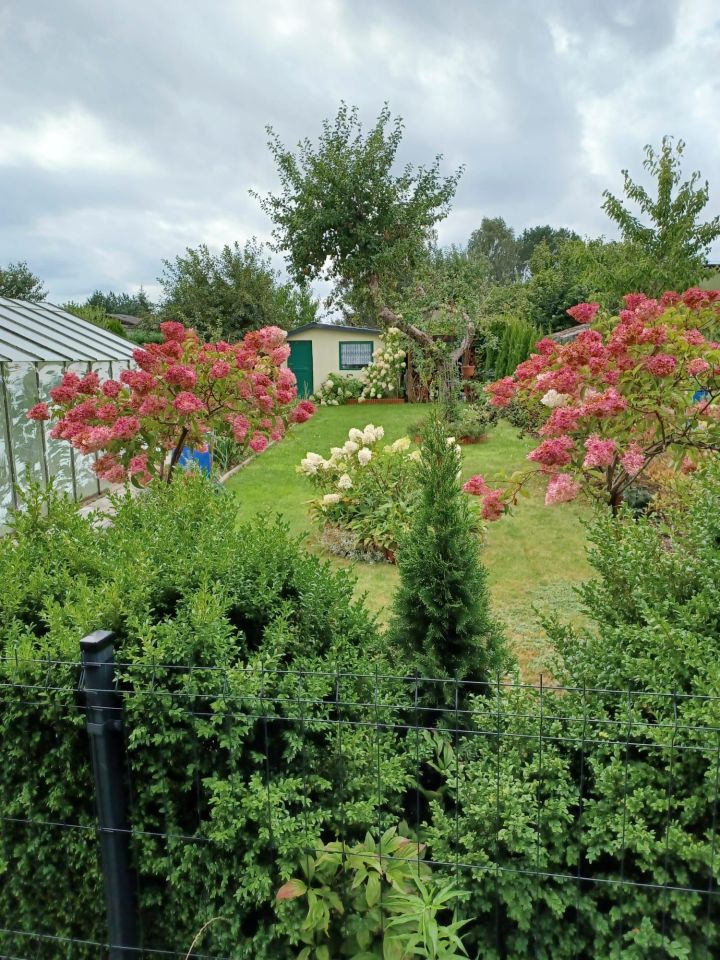 Działka rod Niekłonice. Zdjęcie 7