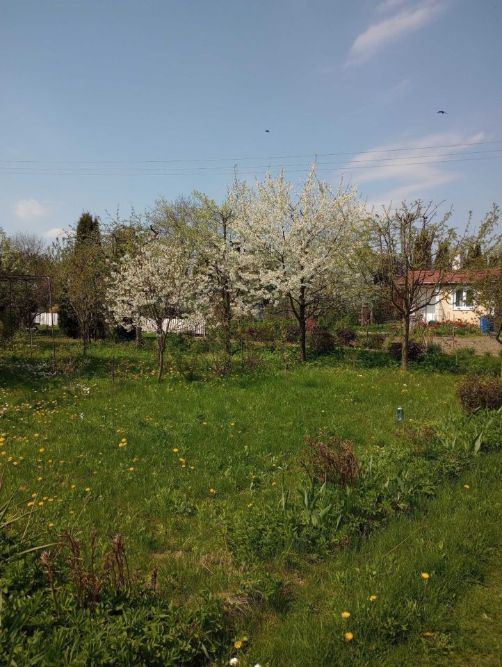 Działka rod Puławy, ul. 4 Pułku Piechoty WP. Zdjęcie 3