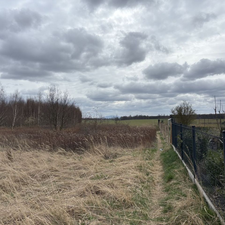 Działka budowlana Gałów, ul. Cedrowa. Zdjęcie 5