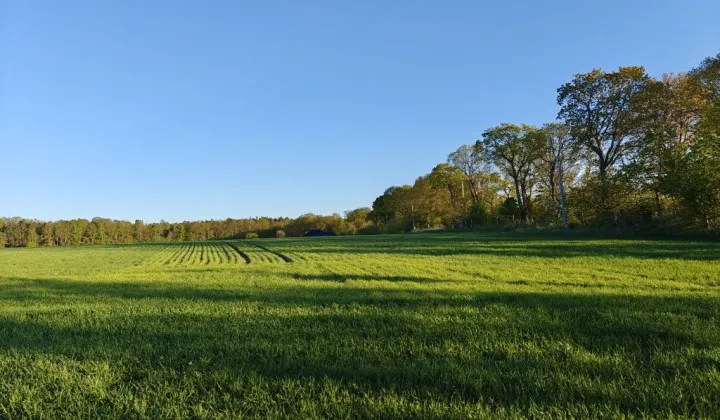 Działka siedliskowa Szczenurze