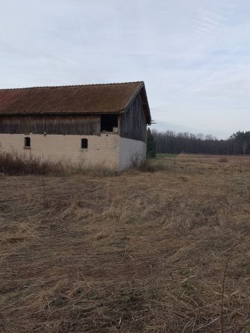 inny Połapin. Zdjęcie 1