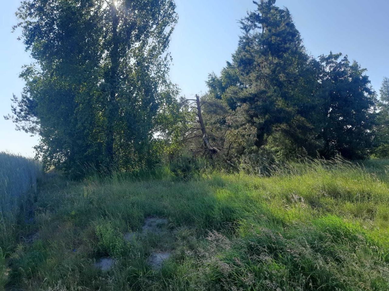 Działka budowlana Chwarzno. Zdjęcie 6