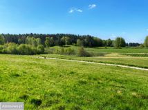 Działka rekreacyjna Gietrzwałd. Zdjęcie 4