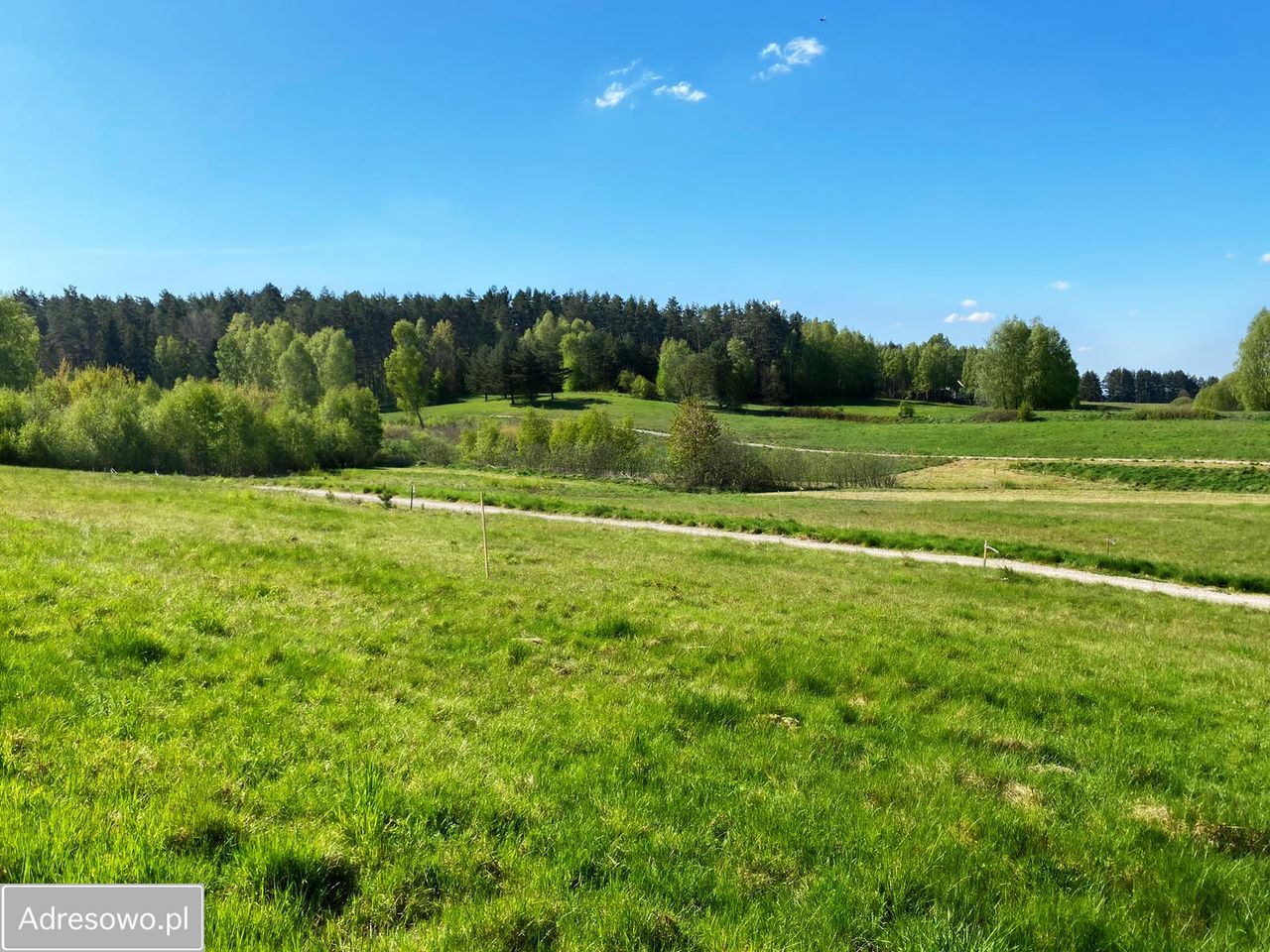 Działka rekreacyjna Gietrzwałd. Zdjęcie 5