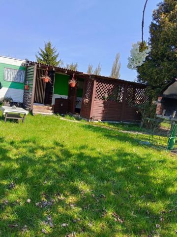 Działka rod Borek Wielkopolski. Zdjęcie 1