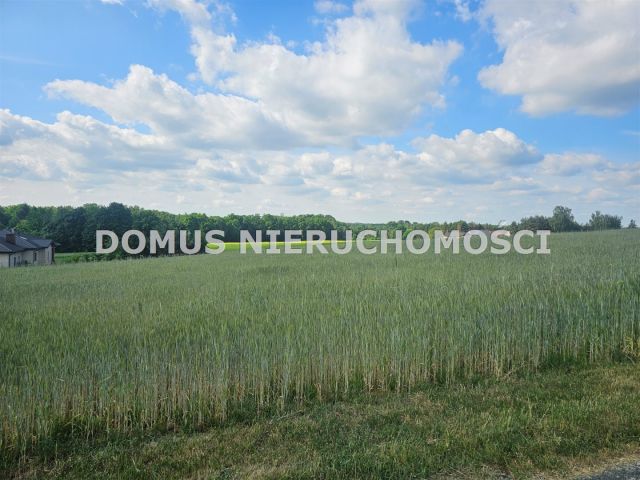 Działka Tworzyjanki. Zdjęcie 5